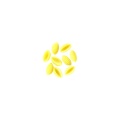 GNOCCHETTI SARDI S_F.jpg