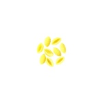 Gnocchetti sardi 500g Divella