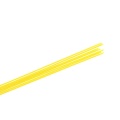 CAPELLINI S_F.jpg
