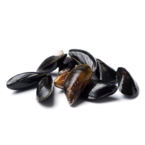 Małże cozze (omułki chilijskie) 40/60 1kg 