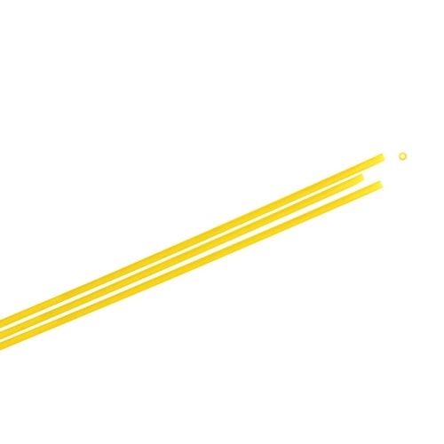 BUCATINI S_F.jpg