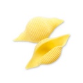 CONCHIGLIONI n.87b_BASSA.jpg