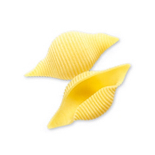 CONCHIGLIONI n.87b_BASSA.jpg